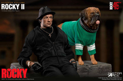 Rocky II My Favourite Movie Actionfigur 1/6 Rocky Balboa Deluxe Ver. 30 cm